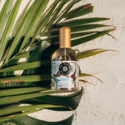 LES PETITS PLAISIRS -  Coco